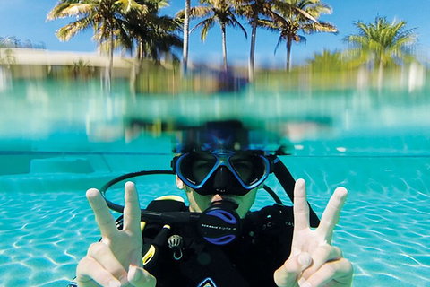 Adventure Moreton Island Scuba Dive Tour - eAccommodation 2