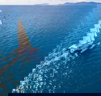 2-Night Whitsunday Islands Sailing Adventure on Trimaran Avatar - eAccommodation