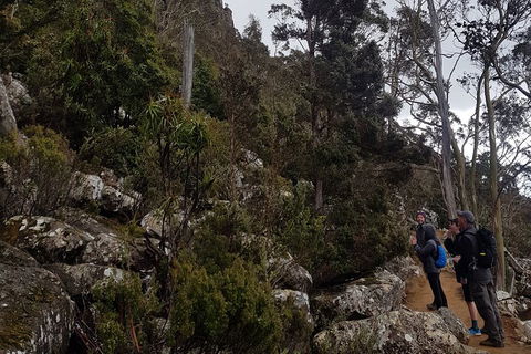 Kunanyi / Mt. Wellington Guided Hiking Tour - eAccommodation 0