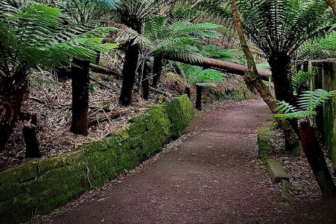 Kunanyi / Mt. Wellington Guided Hiking Tour - eAccommodation 1