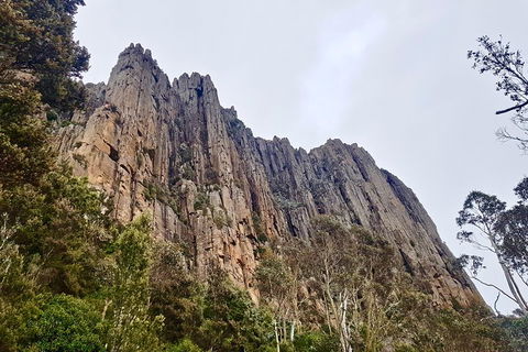 Kunanyi / Mt. Wellington Guided Hiking Tour - eAccommodation 4