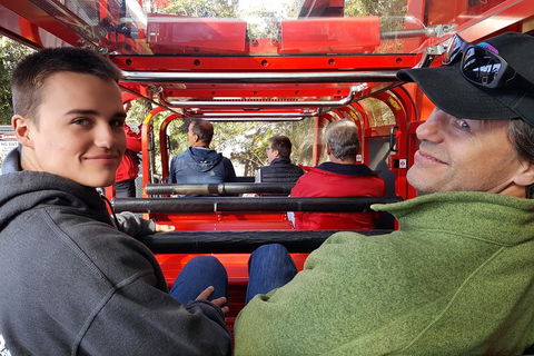 Fully Inclusive Blue Mountains Private Tour Inc Scenic World & Featherdale Entry - eAccommodation 1