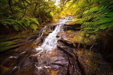 Fully Inclusive Blue Mountains Private Tour Inc Scenic World & Featherdale Entry - eAccommodation 3