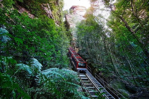 Fully Inclusive Blue Mountains Private Tour Inc Scenic World & Featherdale Entry - eAccommodation 4