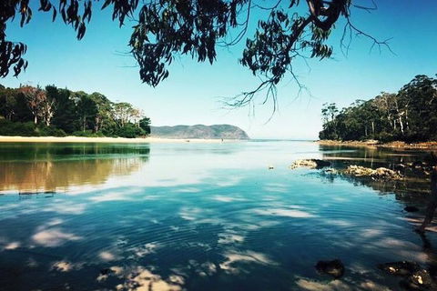 Full-Day Guided Bruny Island Tour From Hobart - eAccommodation 1