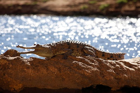 Windjana Explorer - eAccommodation 5