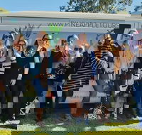 Full Day Mount Tamborine Winery Tour from Gold Coast - eAccommodation
