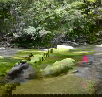 Daintree Dreaming Traditional Aboriginal Fishing from Cairns or Port Douglas - eAccommodation