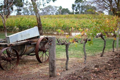 Maggie Beer Farm - Barossa Valley Regional Tour - eAccommodation 1