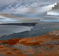 Kangaroo Island Luxury Small Group 'Flinders Chase Focus' Full Day Tour - eAccommodation