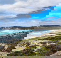 Kangaroo Island Luxury Small Group 'East End Explorer' Full Day Tour - eAccommodation