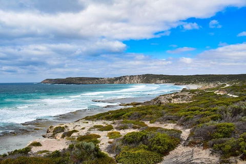 Kangaroo Island Luxury Small Group 'East End Explorer' Full Day Tour - eAccommodation 0