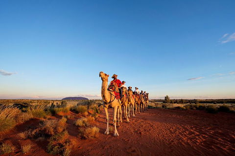 Uluru Small-Group Tour By Camel At Sunrise Or Sunset - eAccommodation 3