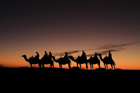 Uluru Small-Group Tour By Camel At Sunrise Or Sunset - eAccommodation 4