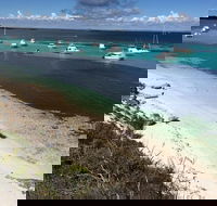 Experience Rottnest with Ferry  Bike Hire from Perth or Fremantle - eAccommodation