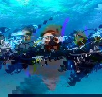 Great Barrier Reef Diving and Snorkeling Cruise from Cairns - eAccommodation
