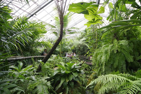 Australian Butterfly Sanctuary - eAccommodation 3
