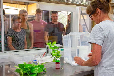 Australian Butterfly Sanctuary - eAccommodation 5