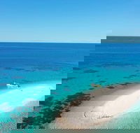 Ocean Safari Great Barrier Reef Experience in Cape Tribulation - eAccommodation