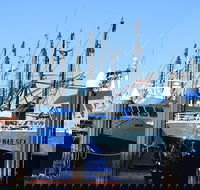 One Day Port Lincoln Tour - Tasting Eyre - eAccommodation