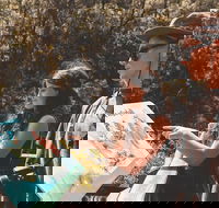 Springbrook andTamborine Rainforest Tour Incl Natural Bridge and Glow Worm Cave