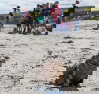 Kangaroo Island in a Day Tour from Adelaide - eAccommodation