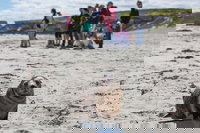 Book Viator Accommodation Vacations eAccommodation eAccommodation