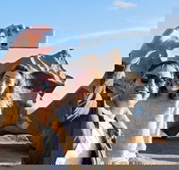 Full-Day Kangaroo Island Experience Departing from Kangaroo Island - eAccommodation