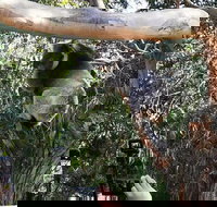 Small-Group Great Ocean Road Day Trip from Melbourne - eAccommodation