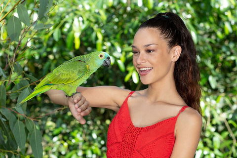 Kuranda Wildlife Experience Three Attraction Pass - eAccommodation 1
