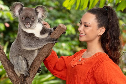 Kuranda Wildlife Experience Three Attraction Pass - eAccommodation 4