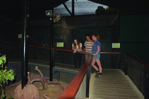 Kuranda Koala Gardens General Entry Ticket - eAccommodation 2