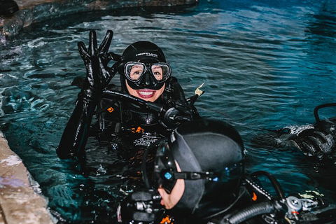 Cairns Aquarium Dive With The Sharks - eAccommodation 0