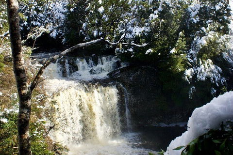 Cradle Mountain Park Explorer Guided Tour - eAccommodation 4
