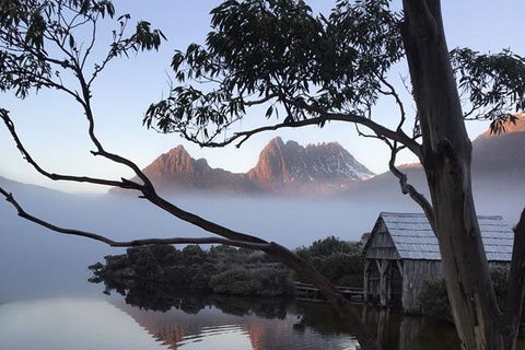 Cradle Mountain Park Explorer Guided Tour - eAccommodation 5