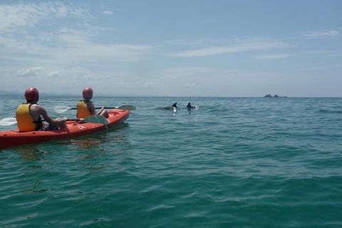 Kayaking With Dolphins In Byron Bay Guided Tour - eAccommodation 4