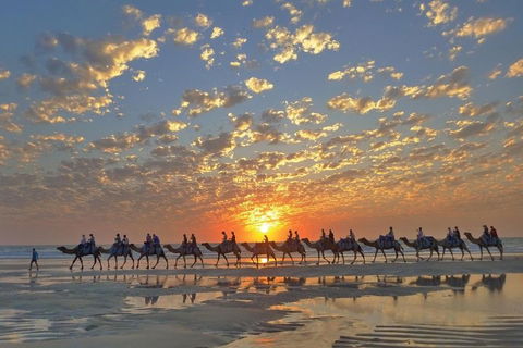 Broome City Sightseeing Tour With Optional Camel Ride - eAccommodation 1