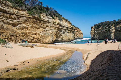 Great Ocean Road And 12 Apostles Day Trip From Melbourne - eAccommodation 2