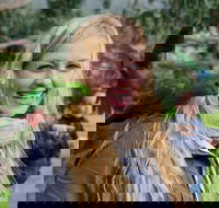 Great Ocean Road Reverse Itinerary with 12 Apostles from Melbourne - eAccommodation