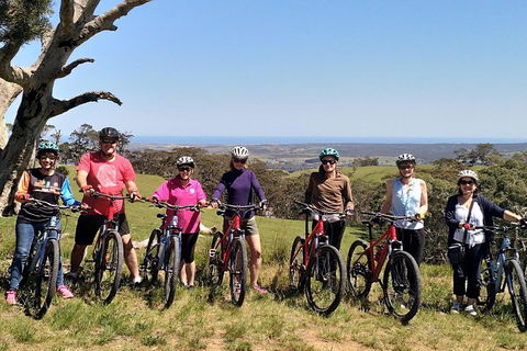 McLaren Vale Wine Tour By Bike - eAccommodation 2