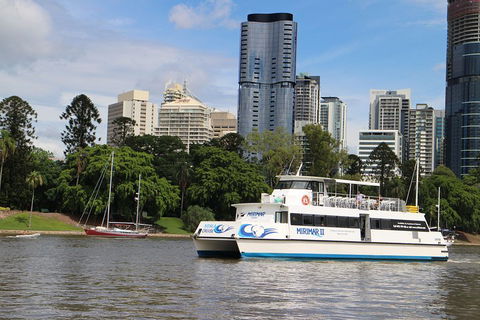 Lone Pine Koala Sanctuary Admission With Brisbane River Cruise - eAccommodation 2