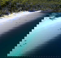 All-Inclusive Fraser Island Day Tour - eAccommodation