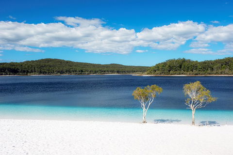 All-Inclusive Fraser Island Day Tour - eAccommodation 3