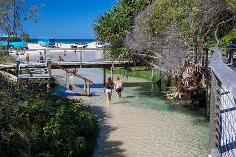 All-Inclusive Fraser Island Day Tour - eAccommodation 4