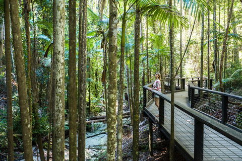All-Inclusive Fraser Island Day Tour - eAccommodation 5