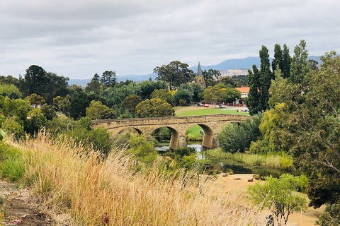 Day Tour In Mt. Field, Mt. Wellington, Bonorong Wildlife Sanctuary And Richmond - eAccommodation 3