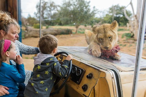 Werribee Open Range Zoo General Admission Ticket - eAccommodation 4