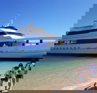 Moreton Island Day Trip Kayak Snorkel  Sandboard frm Brisbane or Gold Coast