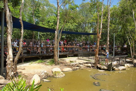 Hartley's Crocodile Adventures Breakfast With The Koalas - eAccommodation 1
