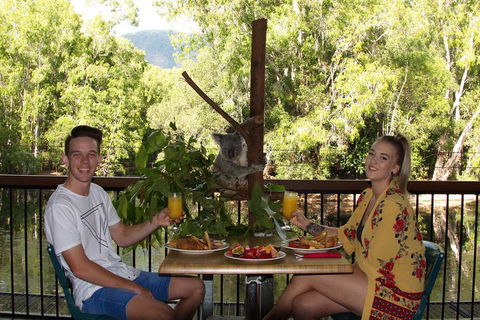 Hartley's Crocodile Adventures Breakfast With The Koalas - eAccommodation 5